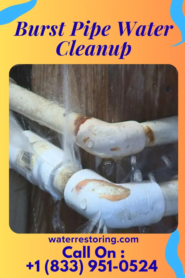 Burst Pipe Water Cleanup in Lakeland South, WA